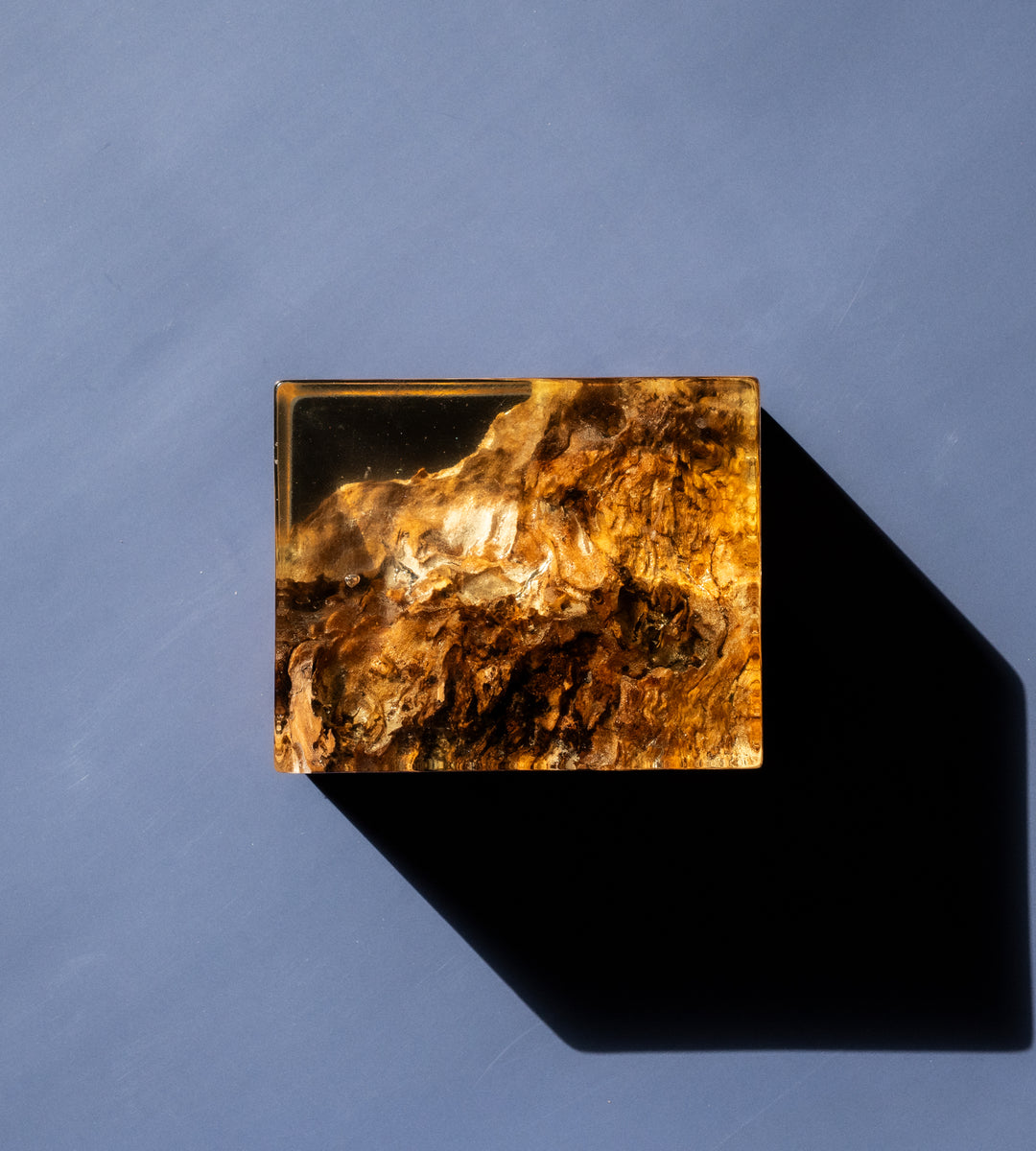 Gary Primary Product Image