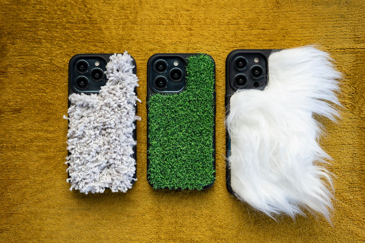 ASMR Case